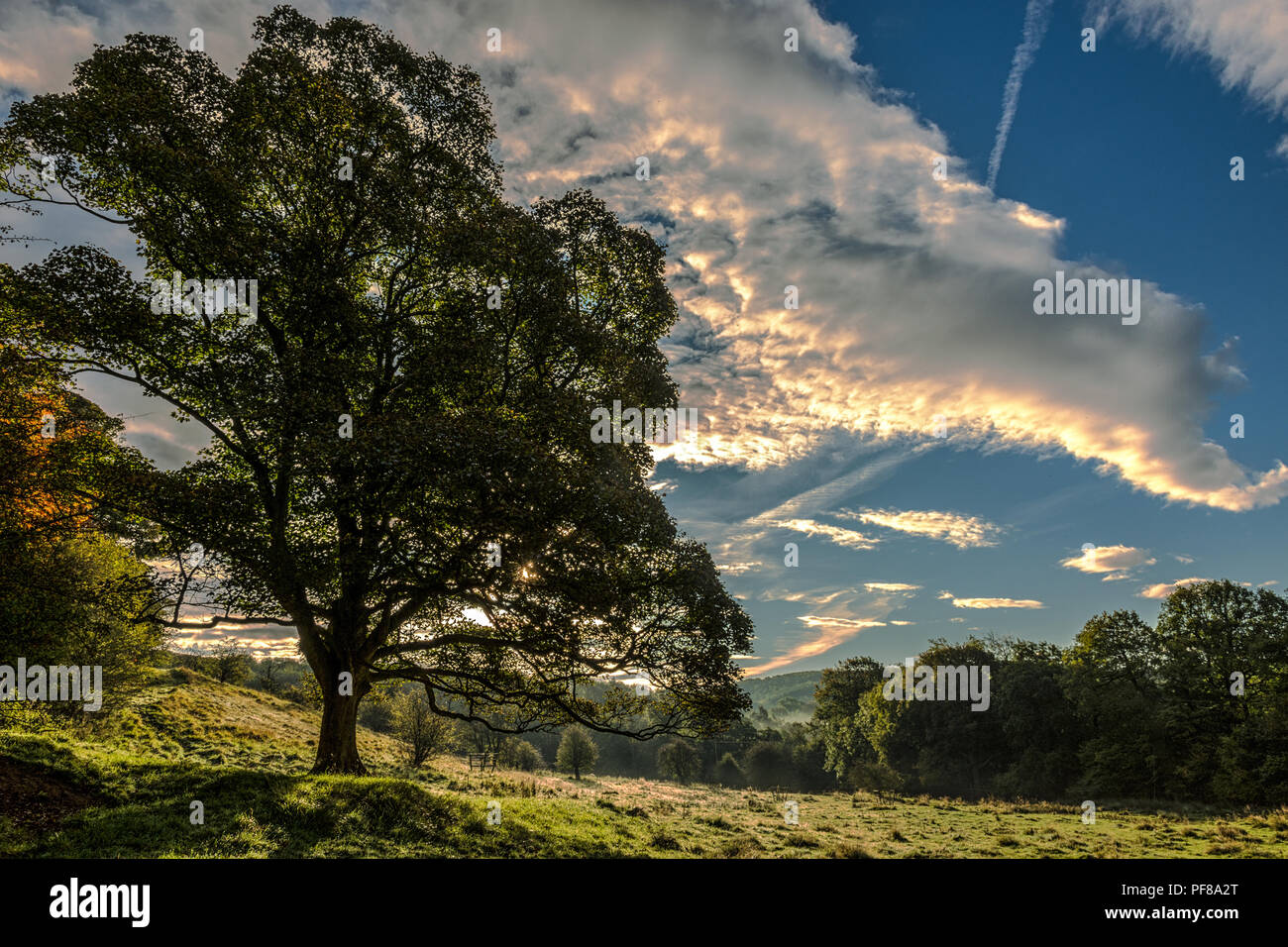 Ich liebe Oktober Sonnenauf- hier in Derbyshire Stockfoto
