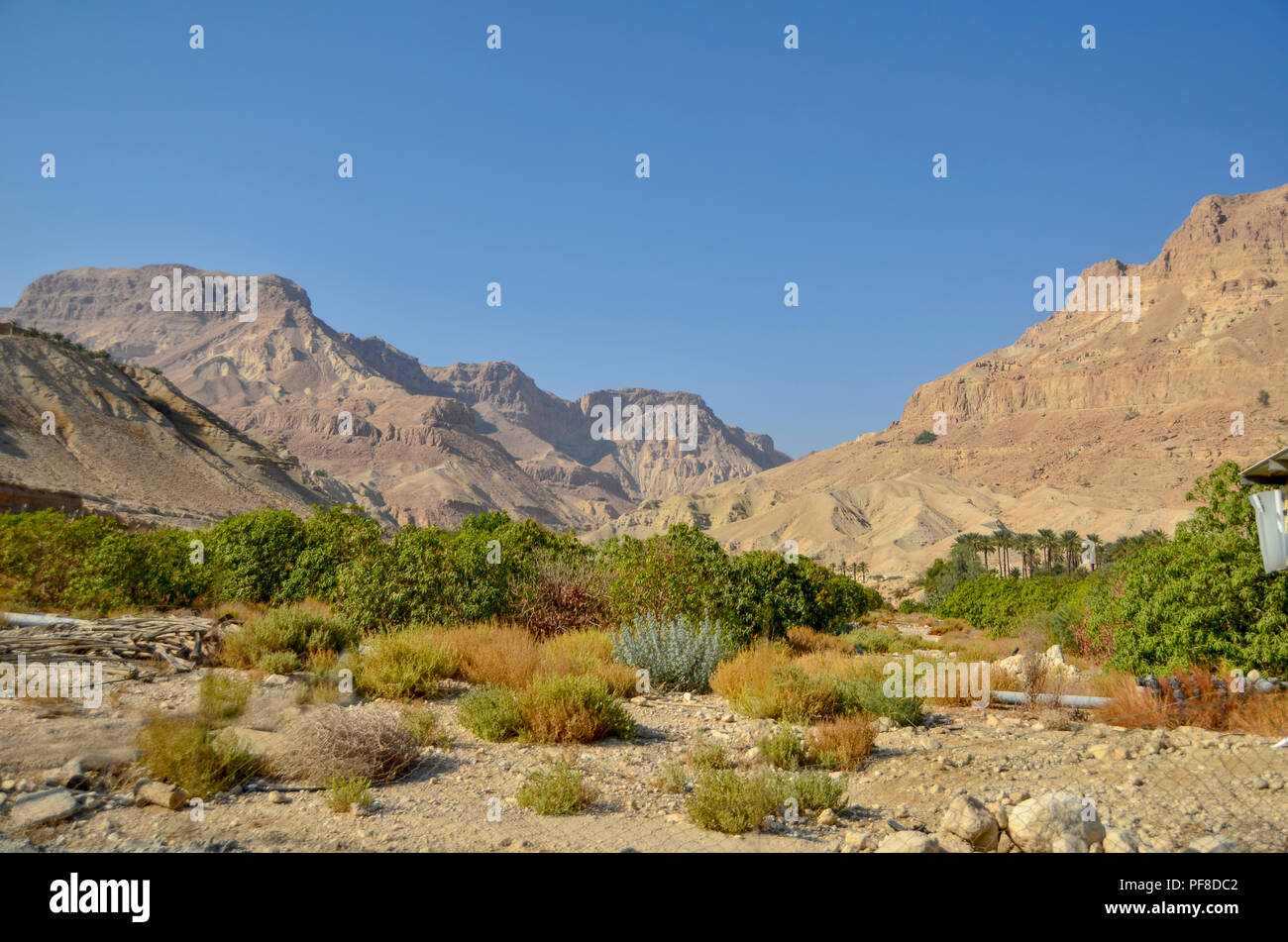 Ein Gedi, Israel, Nahal Arugot (arugot Stream) fließt in das Tote Meer. Das Wasser ist für die Landwirtschaft gesammelt, bevor es das Tote Meer erreicht. Stockfoto