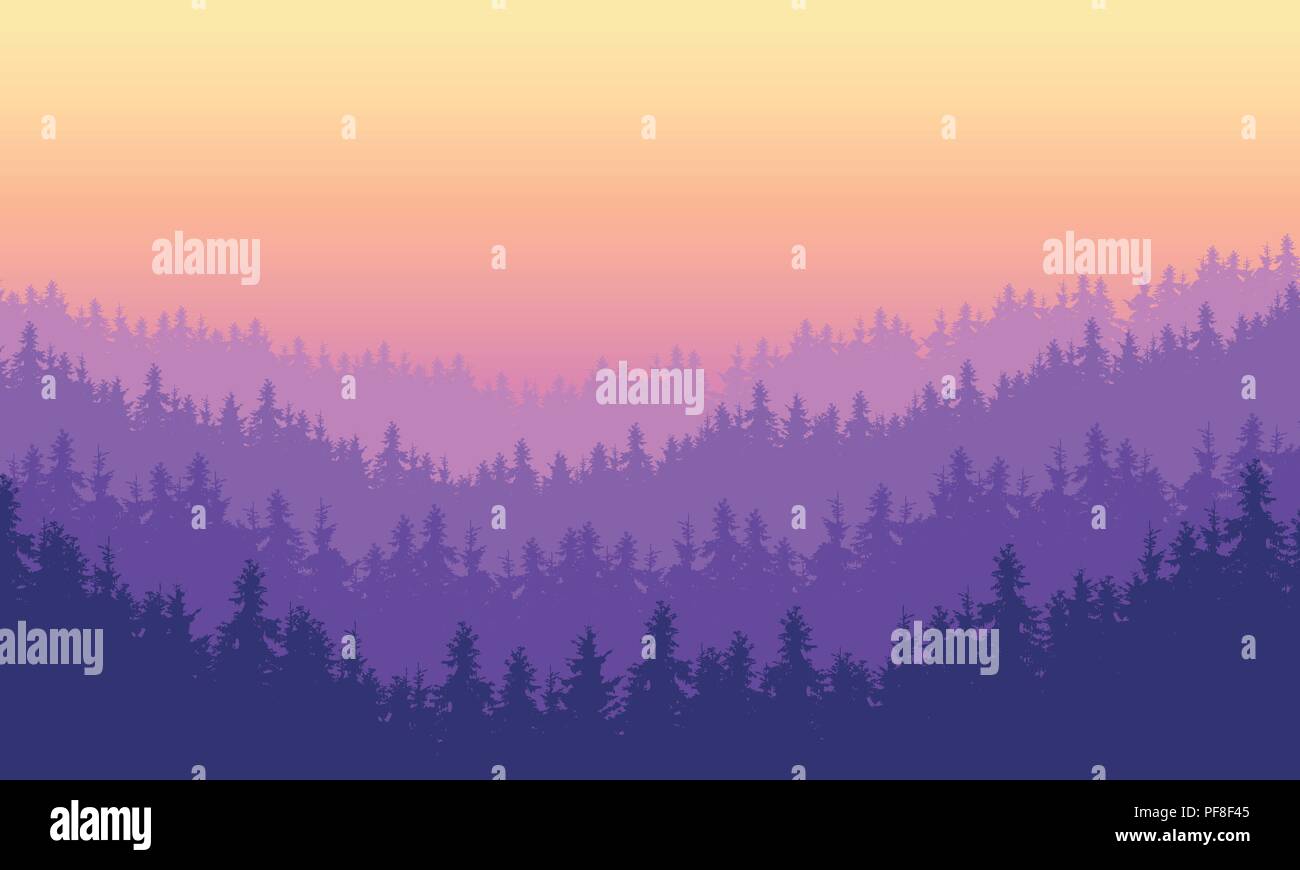 Vector Illustration dichten Nadelwald auf einem Hügel unter einem Morgen oder Abend Himmel mit lila Dawn - mit dem Effekt aus mehreren Schichten und Raum f Stock Vektor