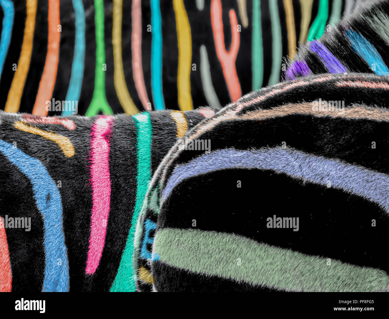 Digital verbesserte Bild einer Nahaufnahme von bunten Zebras lackiert Stockfoto