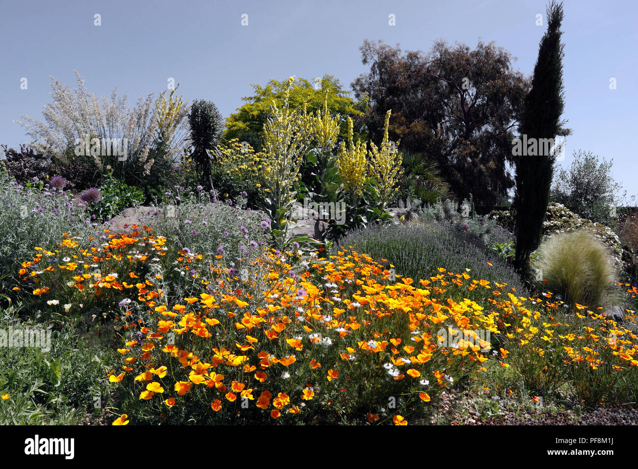 Rhs Hyde Hall Chemische Garten Stockfoto Bild 215935598 Alamy