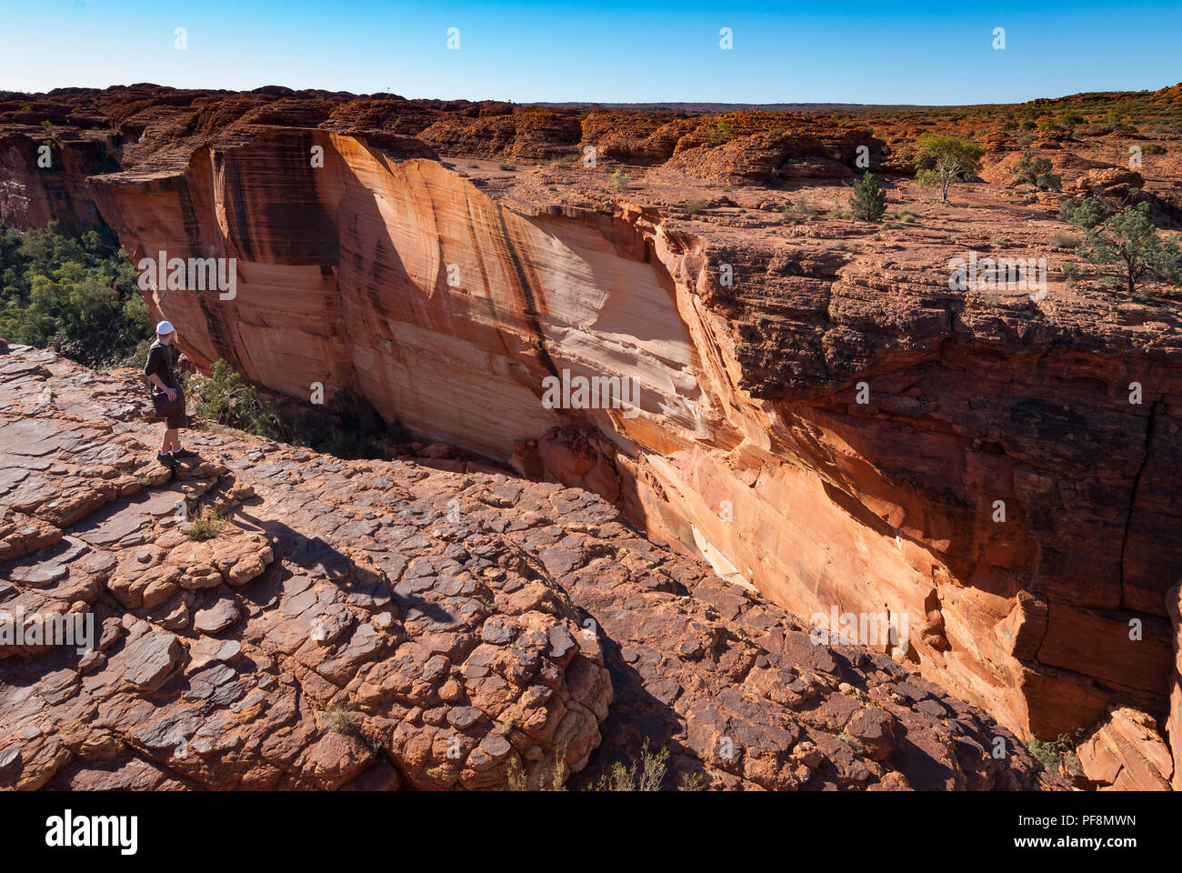 King's Canyon, Northern Territories, Australien Stockfoto