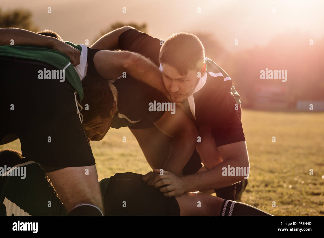 rugbyspieler kämpfen im professionellen Rugbystadion um den Ball. rugby-Spieler machen einen Scrum im Park Stockfoto