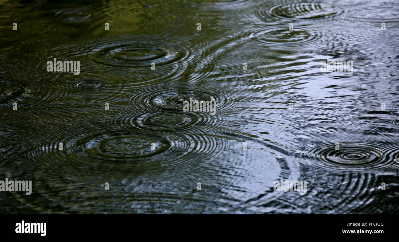 Water Drop Wellenbewegungen auf einem See nach dem regen Stockfoto