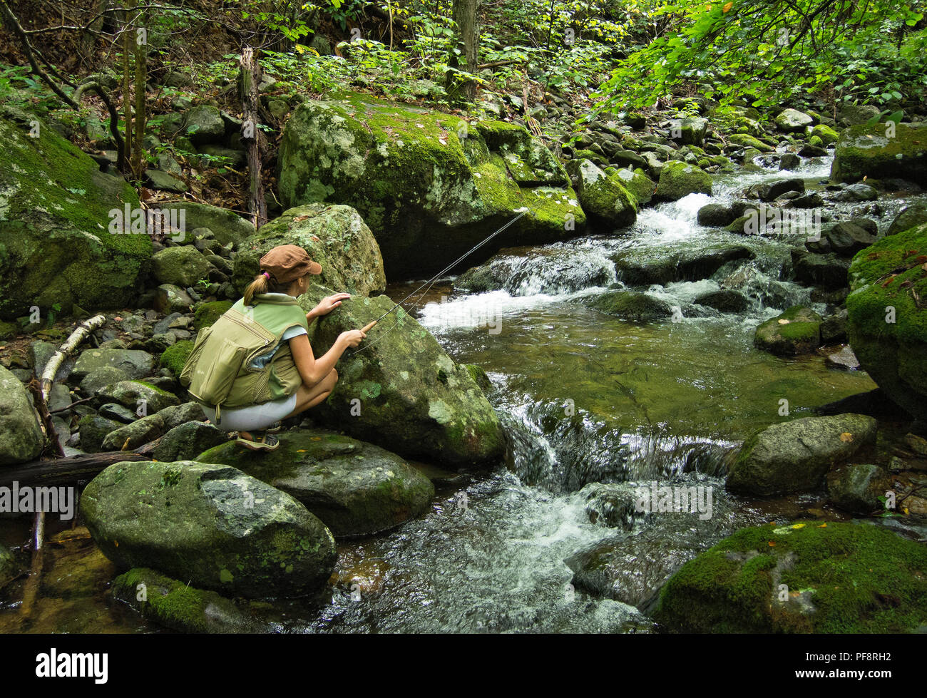 Vereinigte Staaten - 19 August 2018: Angeln auf dem Hawksbill Creek in der Shenandoah National Park, Virginia Fliegen. Hier ist eine bachforelle (Salvelinus font Stockfoto