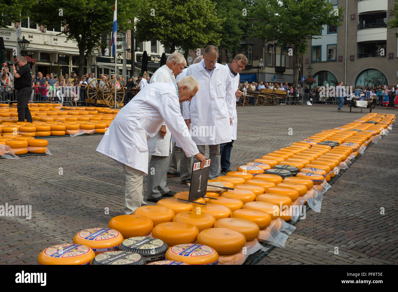 Alkmaar, Niederlande - 01. Juni 2018: Gruppe von Inspektoren, die Prüfung und Genehmigung der Qualität der Käse auf dem Käsemarkt Stockfoto