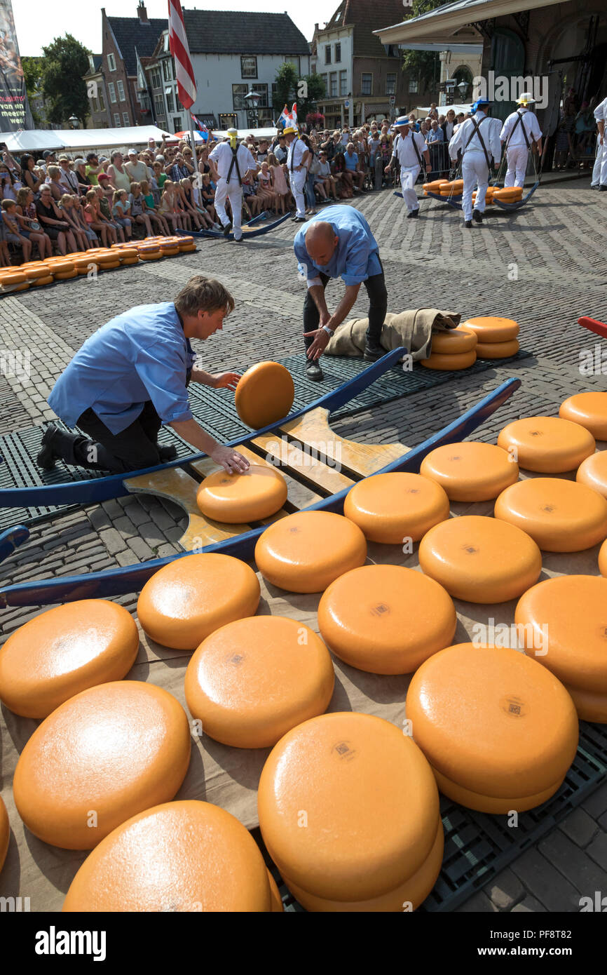 Alkmaar, Niederlande - 20 Juli 2018: Männer sind laden Käse auf einem hölzernen Bahre vor der Waag Gebäude während der käsemarkt Stockfoto