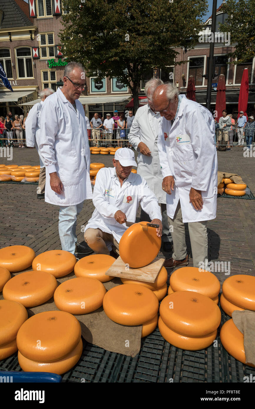 Alkmaar, Niederlande - 20 Juli 2018: Gruppe von Inspektoren, die Prüfung und Genehmigung der Qualität der Käse auf dem Käsemarkt Stockfoto