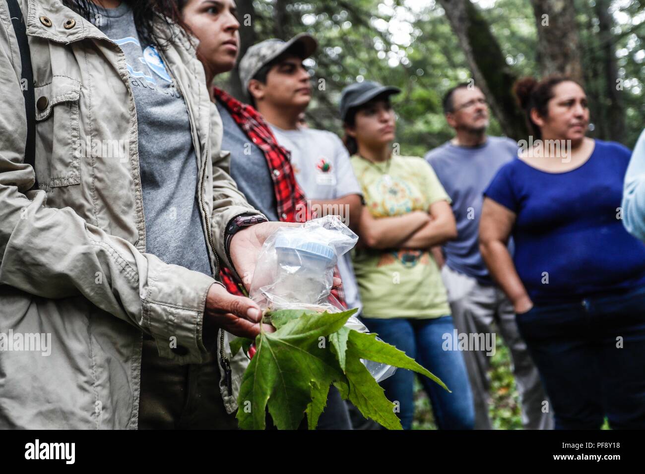 Erinnerung an Paul Martin ..... ............... ............... De expedición Entdeckung Madrense GreaterGood ORG que recaba datos que Syrvaine como Información de Direct para entender mejor las Relaciones biológicas del Archipiélago Madrense y se Usan para proteger y conservar las Tierras de las Islas vírgenes Sonorenses Serranas. Binacional Expedición aye une ein colaboradores de México y Estados Unidos con Experiencias y Especialidades de las Ciencias biológicas variadas, con la intención de aprender Lo más posible sobre Mesa de Tres Ríos, La porción más norteña de la Sierra Madre O Stockfoto