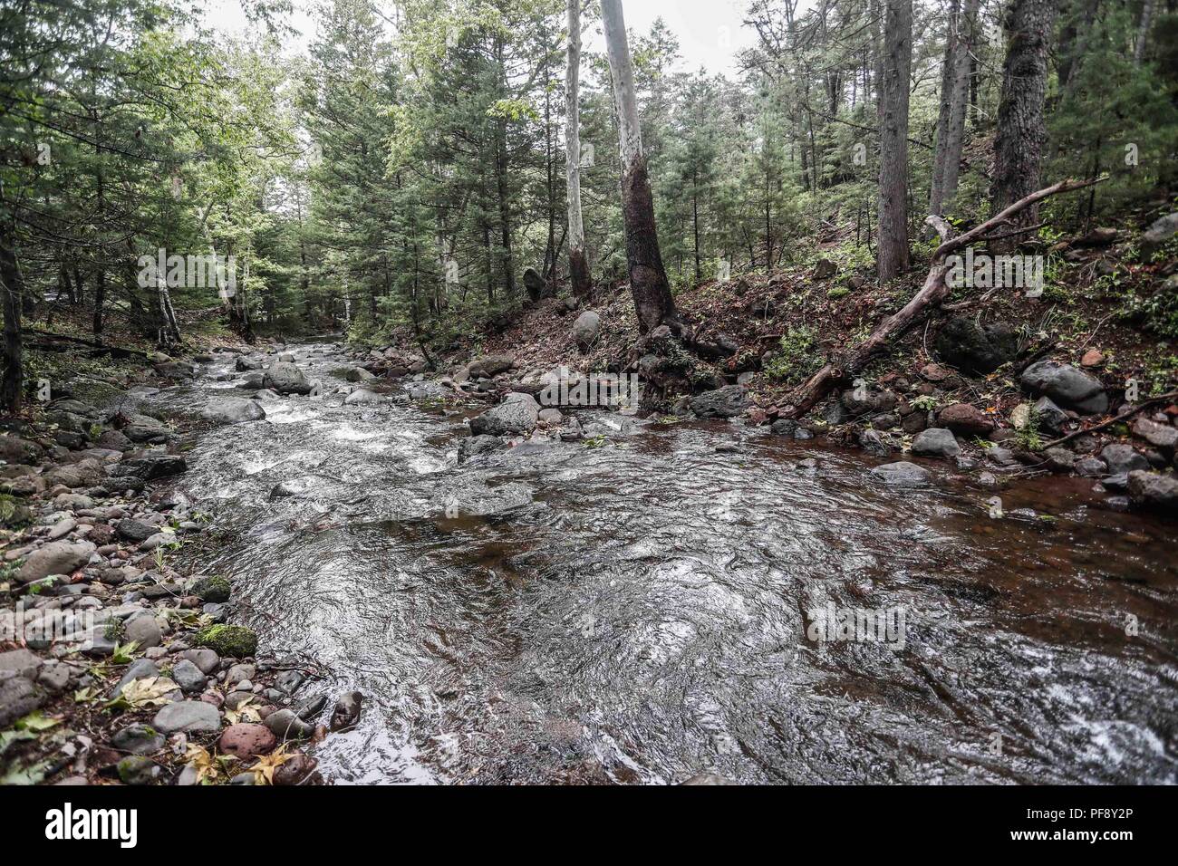 Erinnerung an Paul Martin ..... ............... ............... De expedición Entdeckung Madrense GreaterGood ORG que recaba datos que Syrvaine como Información de Direct para entender mejor las Relaciones biológicas del Archipiélago Madrense y se Usan para proteger y conservar las Tierras de las Islas vírgenes Sonorenses Serranas. Binacional Expedición aye une ein colaboradores de México y Estados Unidos con Experiencias y Especialidades de las Ciencias biológicas variadas, con la intención de aprender Lo más posible sobre Mesa de Tres Ríos, La porción más norteña de la Sierra Madre O Stockfoto