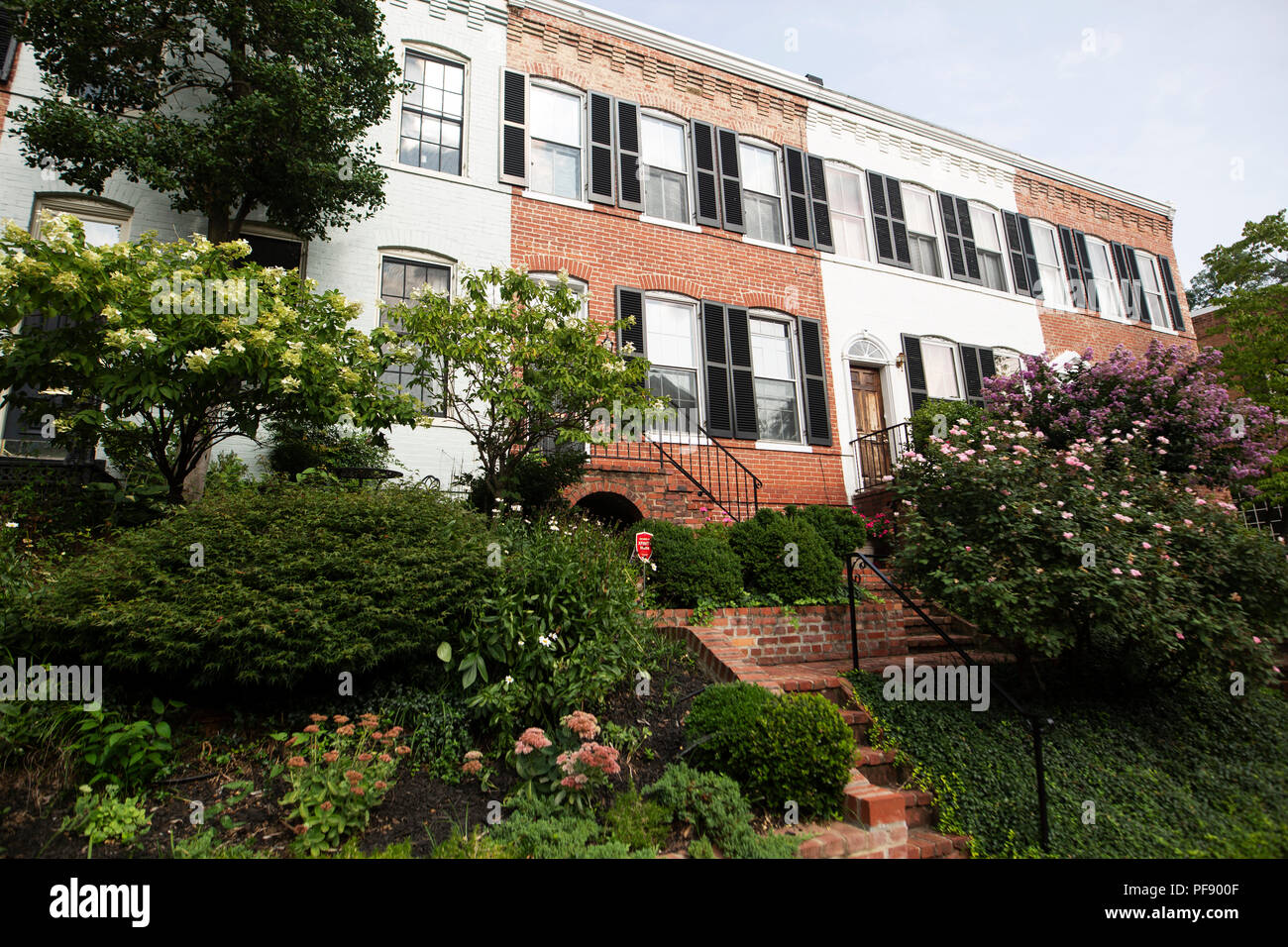 Reihenhäuser im Stadtteil Georgetown von Washington, DC. Stockfoto