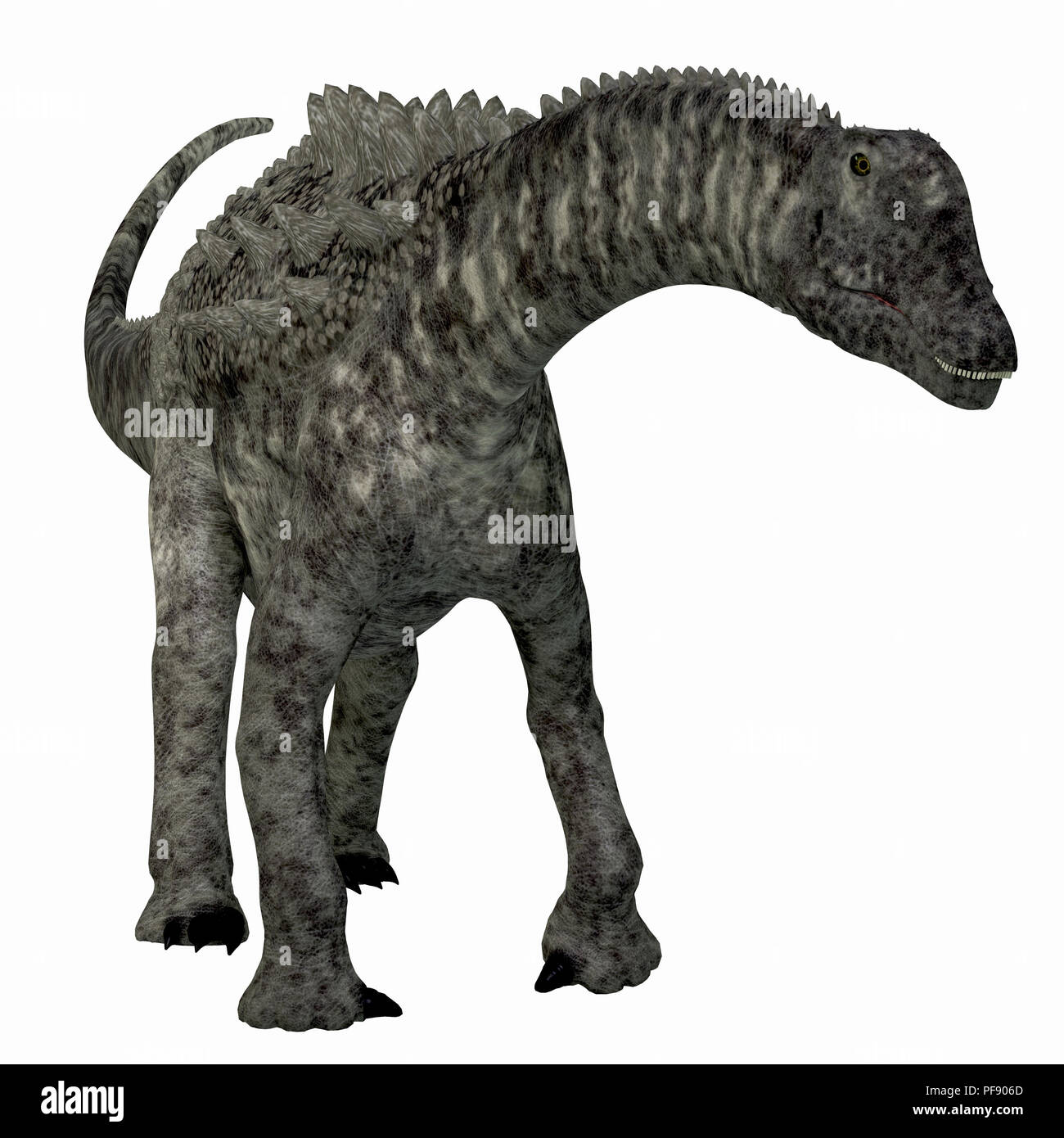 Ampelosaurus Dinosaurier - Ampelosaurus war ein Pflanzenfressenden sauropoden Dinosaurier, die in Europa während der Kreidezeit lebten. Stockfoto