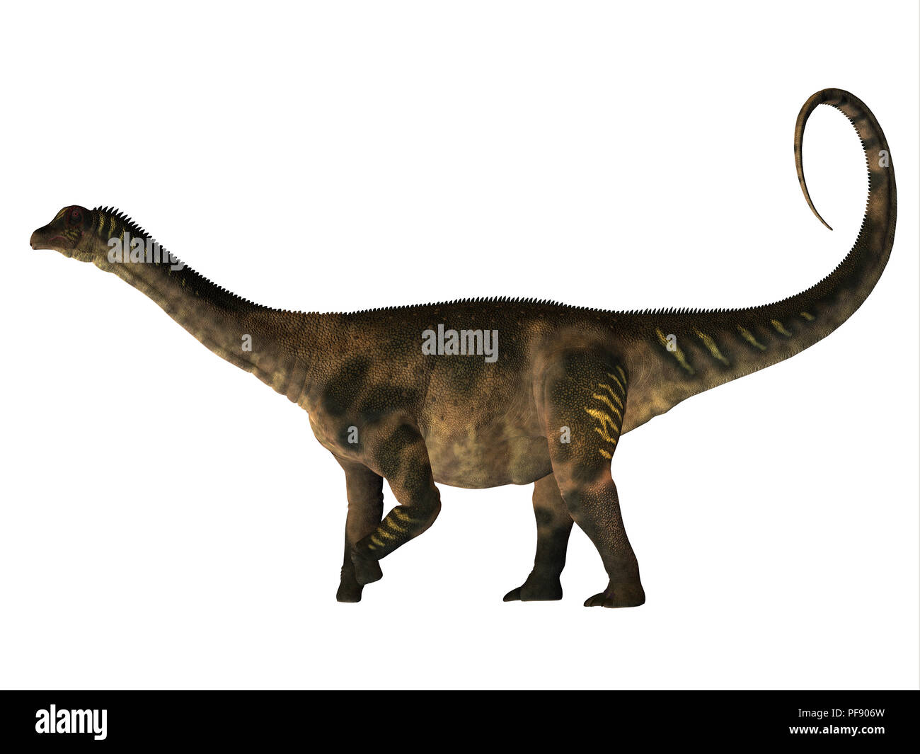 Antarctosaurus Dinosaurier - Antarctosaurus war ein Pflanzenfressenden sauropoden Dinosaurier in der Kreidezeit von Südamerika lebten. Stockfoto