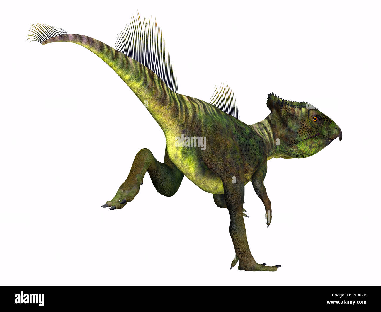 Archaeoceratops Dinosaurier - Archaeoceratops war ein Ceratopsian pflanzenfressende Dinosaurier, die in China in der Kreidezeit lebten. Stockfoto