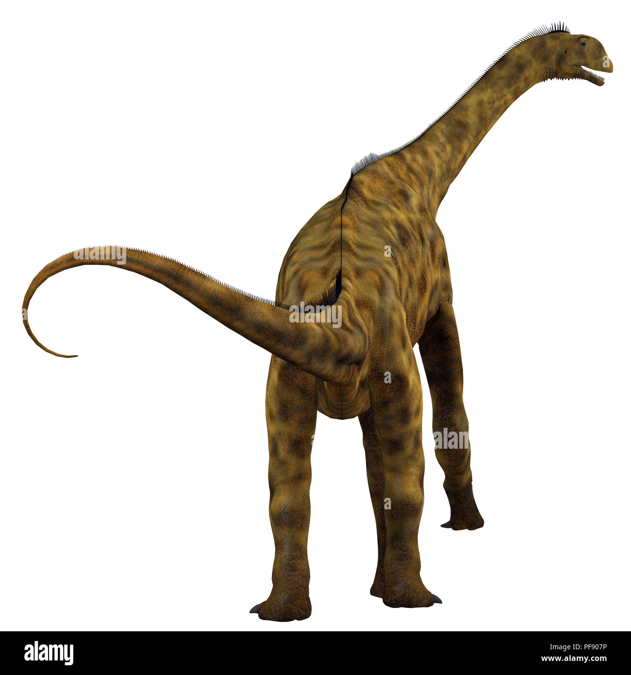 Atlasaurus Dinosaurier - Atlasaurus war ein Pflanzenfressenden sauropoden Dinosaurier, die in Marokko, Nordafrika während der Kreidezeit lebten. Stockfoto