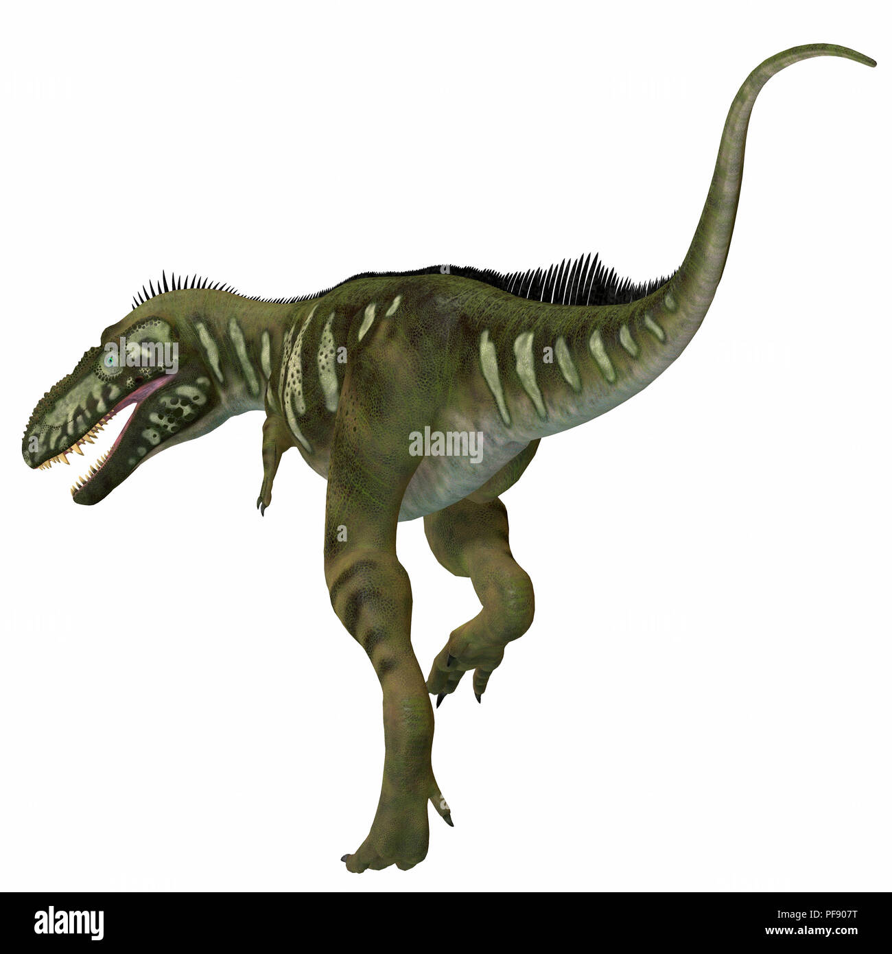 Bistahieversor Dinosaurier - Bistahieversor theropode war ein fleischfressender Dinosaurier in New York lebte, Nordamerika während der Kreidezeit. Stockfoto