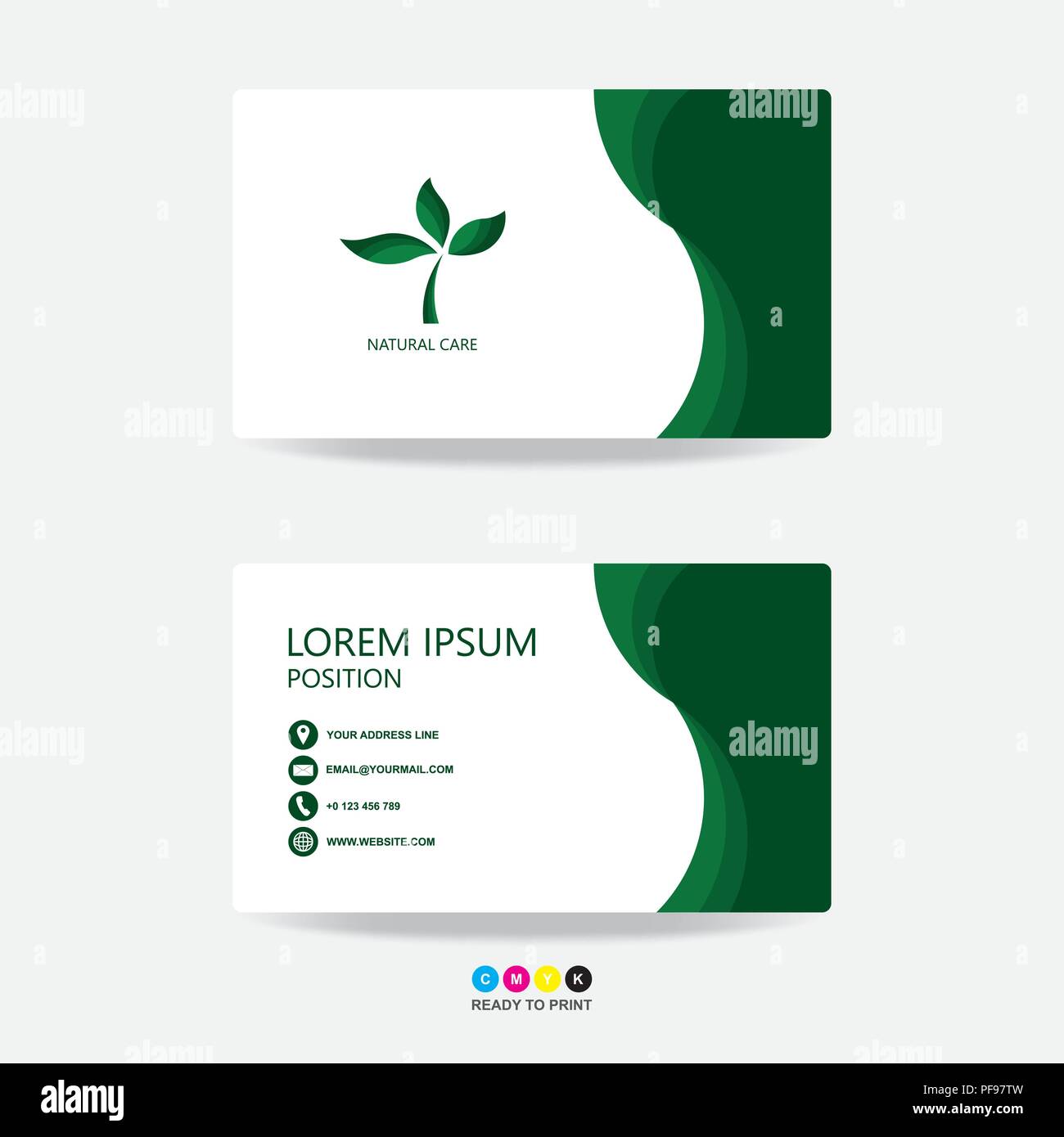 Grüne Natur business card Template Design grüne Blätter Natur. Kontakt Karte für Unternehmen. Vorder- und Rückseite in Grün und Weiß auf grauem Hintergrund. V Stock Vektor