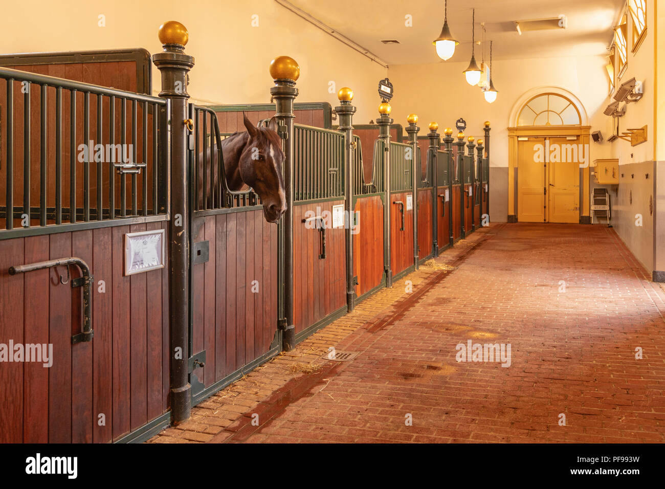 Die königlichen Stallungen in Den Haag, Südholland, Niederlande, für die Öffentlichkeit zugänglich am 17. August 2018. Stockfoto