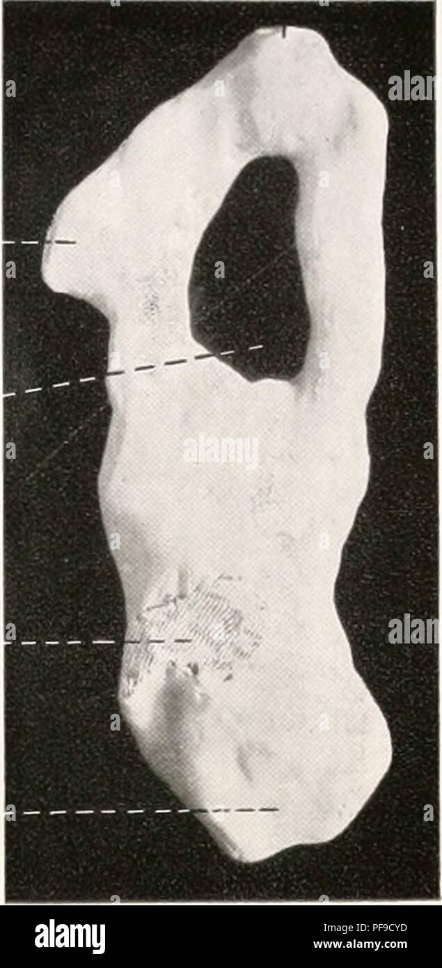 . Deutsche Südpolar-Expedition, 1901-1903, im, Aufträge des Reichsamtes des Innern. Gauss (Schiff); Wissenschaftliche Expeditionen; Antarktis. Öjo a a W. Bitte beachten Sie, dass diese Bilder sind von der gescannten Seite Bilder, die digital für die Lesbarkeit verbessert haben mögen - Färbung und Aussehen dieser Abbildungen können nicht perfekt dem Original ähneln. extrahiert. Deutsche Südpolar-Expedition (1901-1903); Drygalski, Erich von, 1865-1949. Berlin, G. Reimer Stockfoto