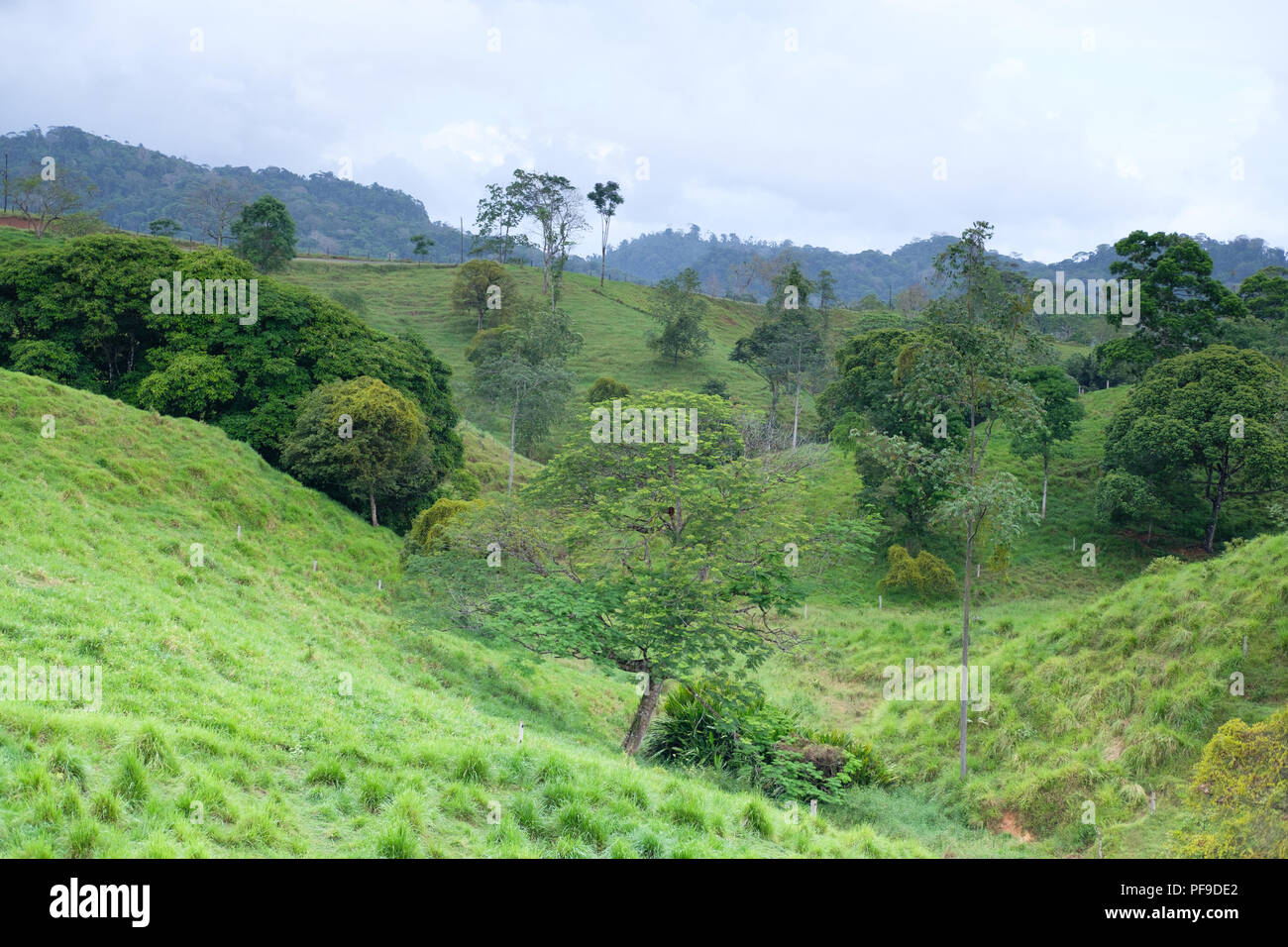 Boca Tapada Land Stockfoto