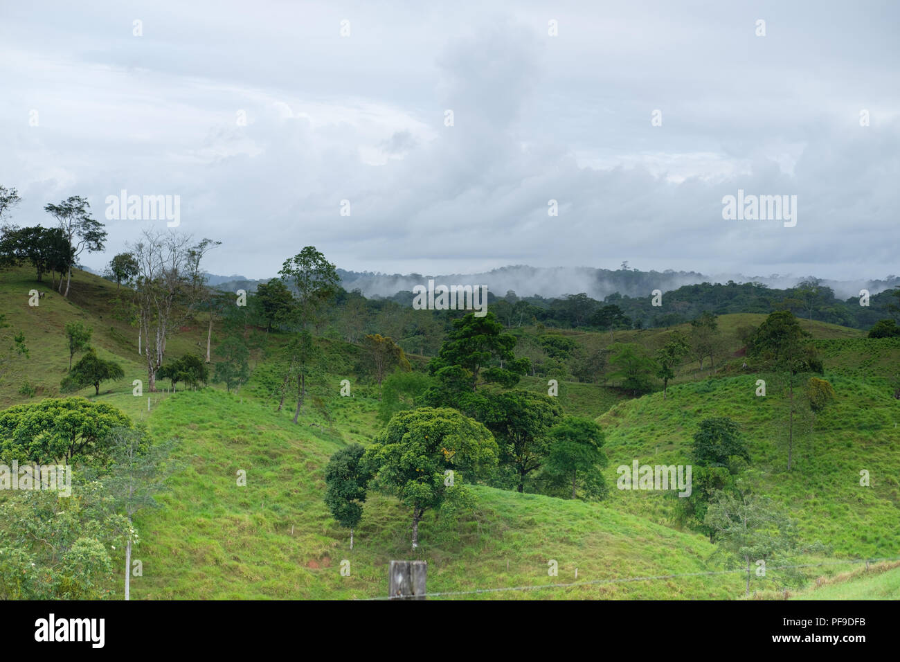 Boca Tapada Land Stockfoto