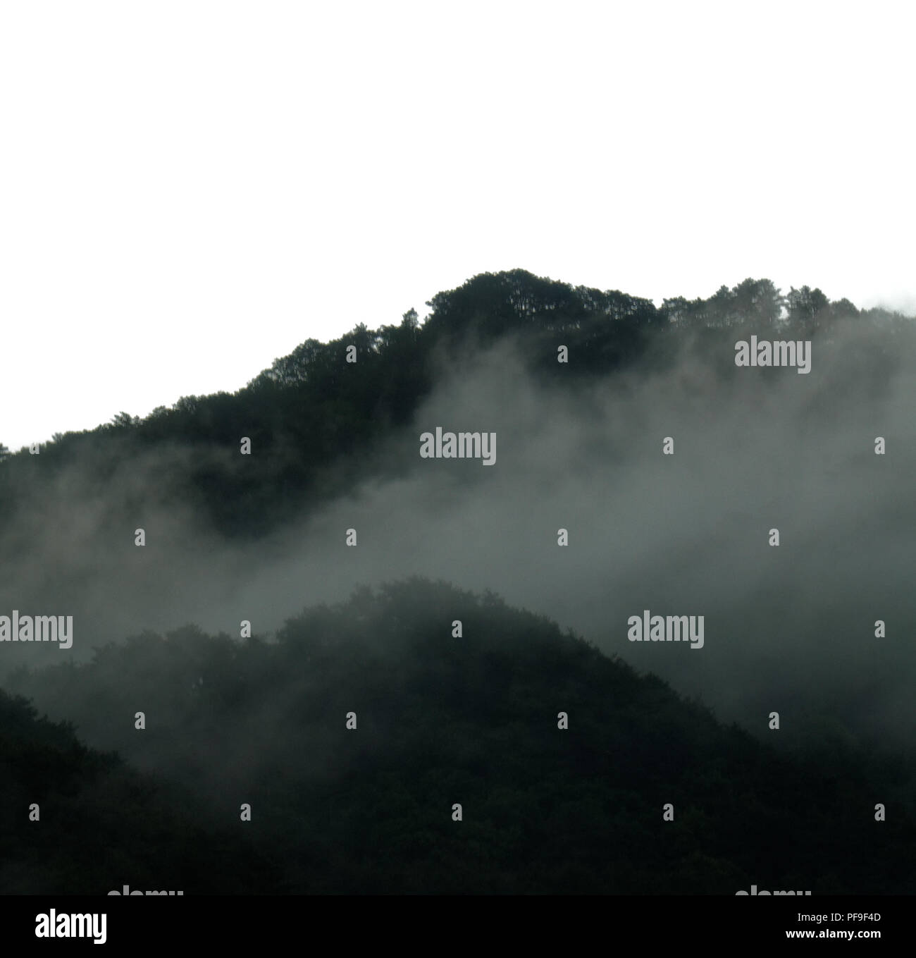 Nebel über dem grünen grünen Wäldern des Myohyang Gebirge, Nordkorea Stockfoto