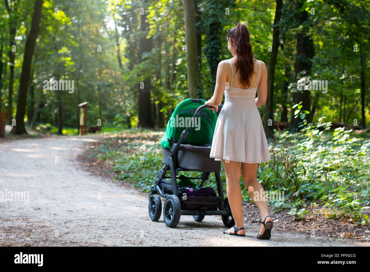 Rückansicht der attraktiven Frauen wandern mit Kinderwagen in der natürlichen forrest Gehweg, junge Mutter ist außen mit Ihrem neugeborenen Baby für Kinderwagen zu Fuß Stockfoto