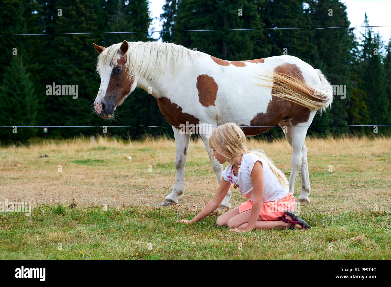 Kind, Mädchen sitzen auf Gras und beobachten, weidende Pferde auf der Wiese Stockfoto