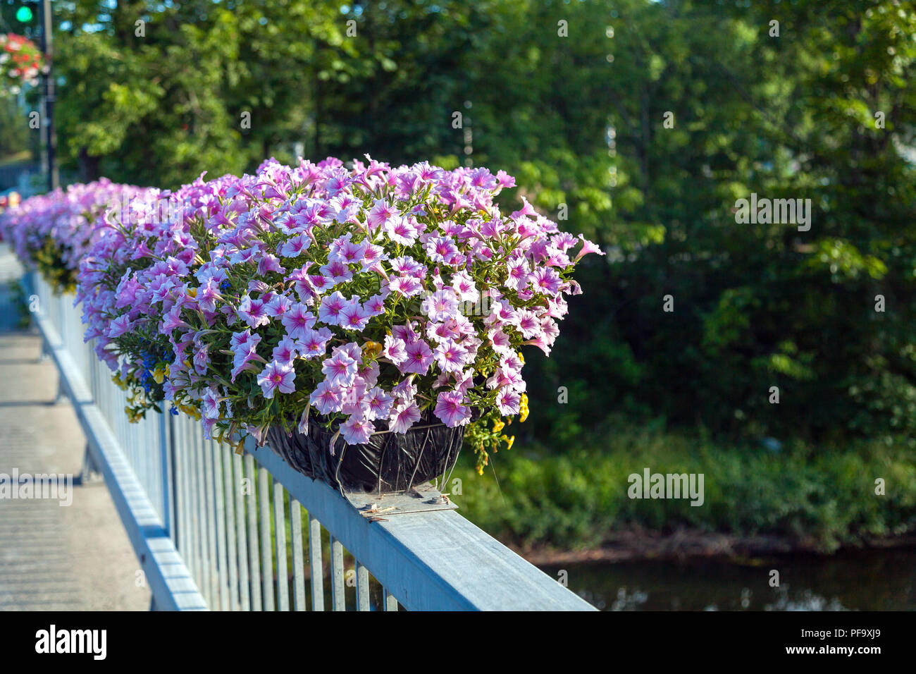 Blumenschmuck auf der kleinen Brücke über Yamaska River an der Rue de la Gare, Dreieich, Eastern Townships, Quebec, Kanada. Stockfoto