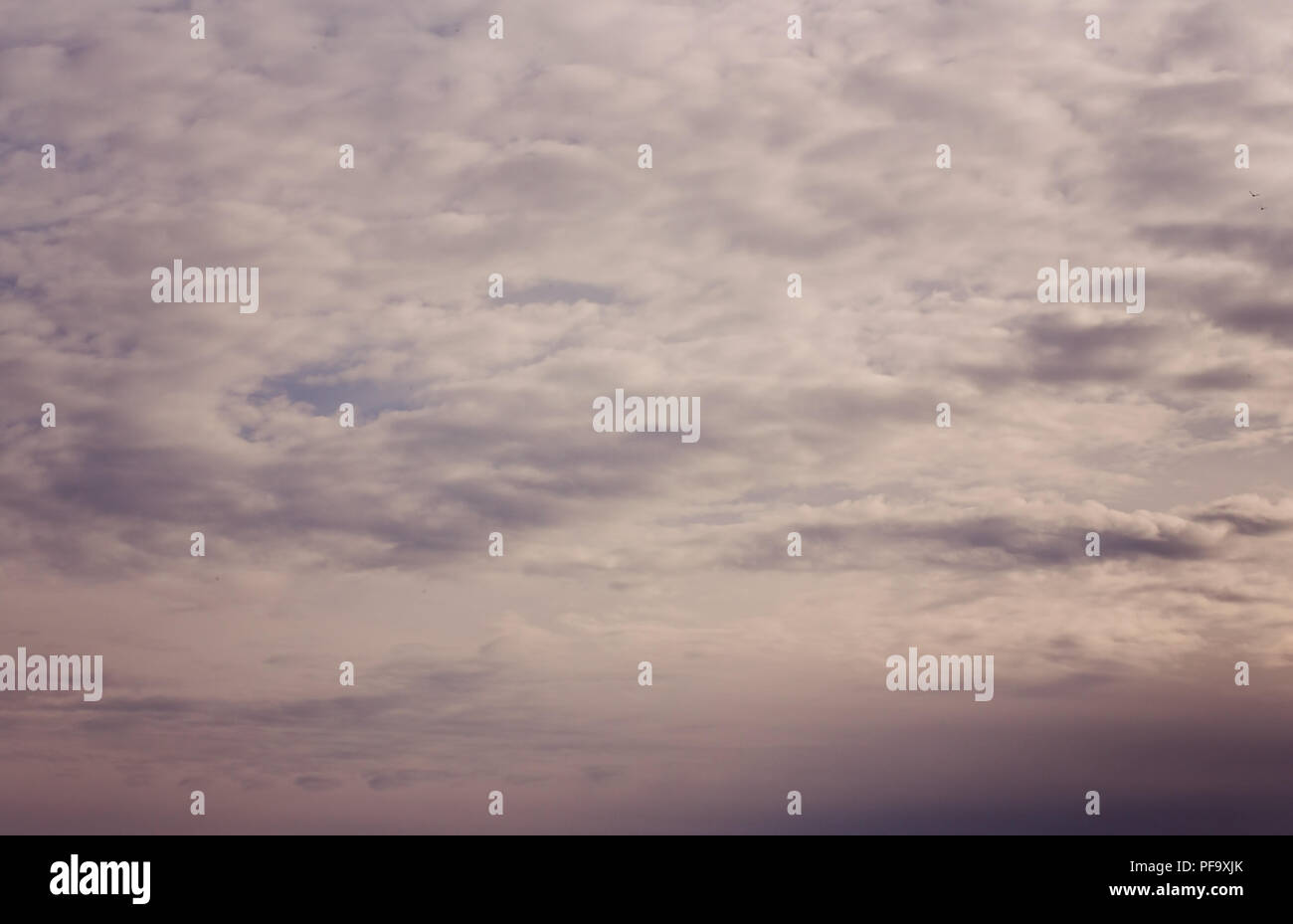 Dramatische Foto von Cumuluswolken, Recht vor einem Sturm in San Franciscos Hafengebiet, Kalifornien Stockfoto