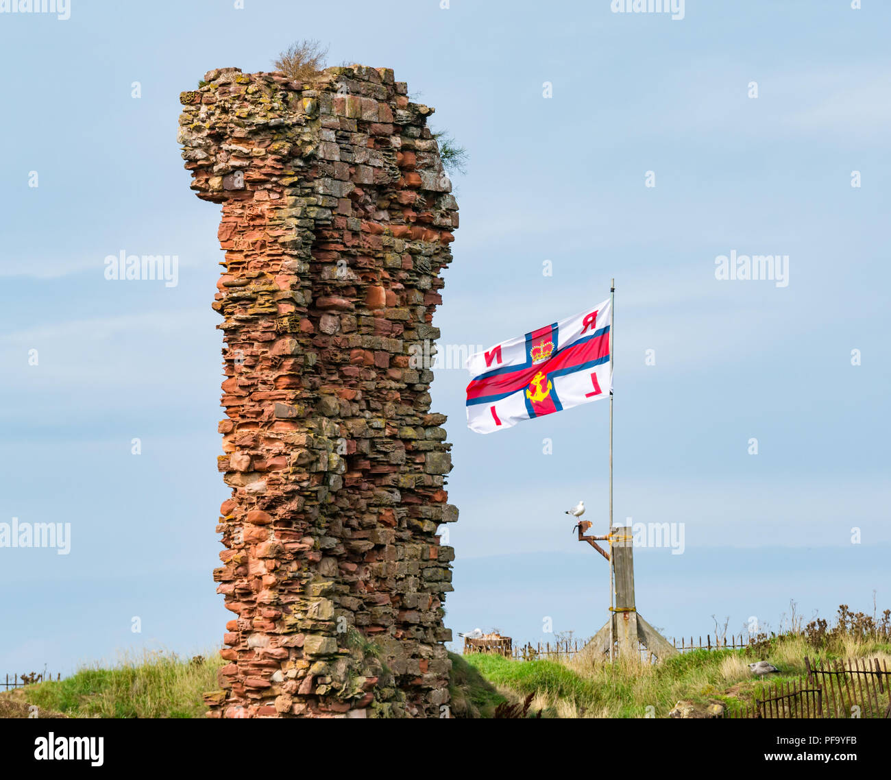 Ruiniert Wand von Dunbar Castle mit rnli Flagge, Dunbar Hafen, Dunbar, East Lothian, Schottland, Großbritannien Stockfoto
