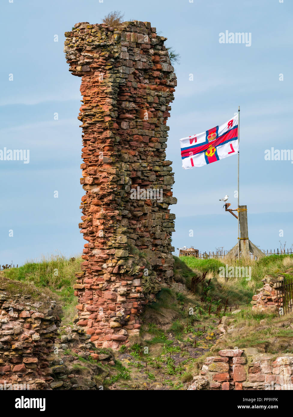 Ruiniert Wand von Dunbar Castle mit rnli Flagge, Dunbar Hafen, Dunbar, East Lothian, Schottland, Großbritannien Stockfoto