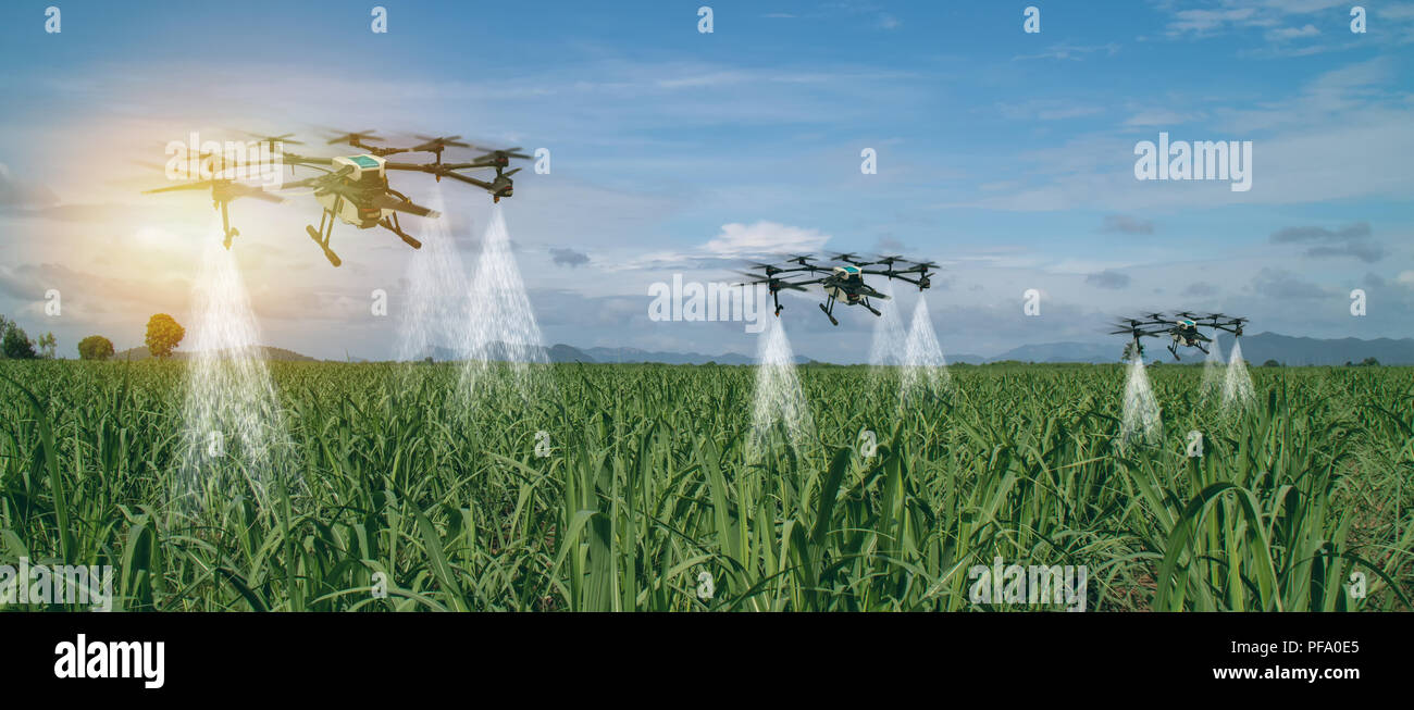 Iot smart Landwirtschaft Industrie 4.0 Konzept, drone (in Präzision Farm) Verwendung für ein Wasser, Dünger oder chemischen Sprühnebel in das Feld, Bauernhof für Wachstum ein Yi Stockfoto