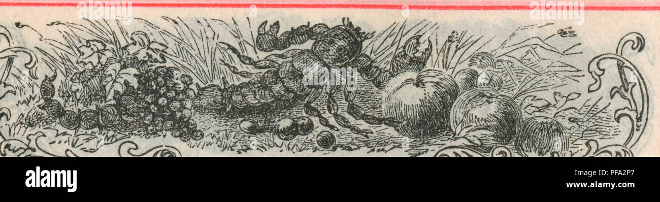 . Tagebuch, 5. Februar - April 29, 1900. Ornithologie, Herpetologie. Phasen im Dezember Mond. (Im Standard Zeit.) Vollmond letztes Viertel.... Neumond erstes Viertel Eastern Division. 6d. 5h. 38 m. Bis 13. d. 5h. 42 m. Uhr 2-Id. 7 h. im. Uhr 28 d. - 8 Uhr. 48 m. Uhr CENTRAL DIVISION. 6d. 4h. 38 m, bis 13 d. 4h. 42 m. Uhr 2-Id. 6 Uhr. im. Uhr 28 d. yhi 48 m. Uhr Dav Breitengrad von Boston und Chicago. Lokale mittlere Zeit. der Sonne Mond d! V'k. R.&AMP;S. R.&AMP;S. Ich sa.ry9I 23 2 29 2 36 Mo n 11 3 49 4 Tu. 28 5 2 5 Wir. n 13 6 14 6. . S-4 28 steigt. 7 Fr. n 15 5 56 8 Sa. (Â ¢ 4 28 7 2 9 jS r; 17 8 7 10 Mo J-4 28 9 10 r Stockfoto