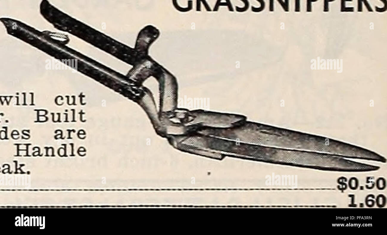 . Diamond Jubiläum 75-jähriges Jubiläum. Gartengeräte und Zubehör Kataloge; landwirtschaftliche Arbeitsgeräte Kataloge Kataloge; Samen; Glühlampen (Pflanzen) Kataloge; Gemüse; Blumen Kataloge Kataloge. 4 Fuß 1,50 $ 6 Fuß 1,60 8 Meter 1,80 2,00 12 Fuß, 10 Fuß 2.20 14 Fuß 2,40 Extra Messer .20 Telegraph Baum Gartenschere Preis, ohne Pole 1,50 $ Störungssucher Baum Pru-ner Nr. 2, $ 4,00 GRASSCHEREN gebogen Griff, Nr. 150 30 o Kelle Griff, Nr. 460     5 Oc GRASSNIPPERS Hier ist ein Werkzeug, das Gras geschnitten wird einfacher, als eine Schere. Wie Haare schneiden gebaut. Blades sind aus geschmiedetem Stahl, gerechtfertigt. Griff ist formbar, nicht bre Stockfoto