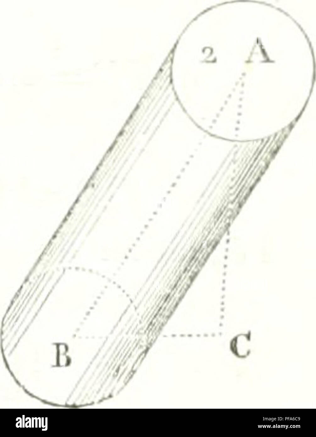 Ein französischsprachiges Wörterbuch der reinen und angewandten Mathematik, das Konzepte wie trigonometrische Tangenten, Kurvenüberschneidungen und Methoden zur Bestimmung von Tangenten zu Zykloidkurven beschreibt. Die Arbeit bietet mathematische Theorien und praktische Ansätze für geometrische und kalkuläre Probleme. Stockfoto