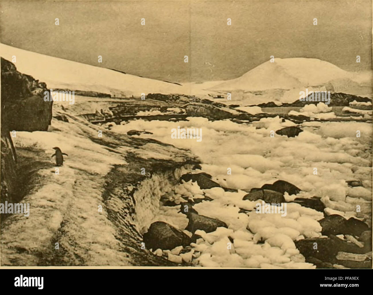. DeuxiÃ¨me expÃ©dition antarctique Francaise (1908-1910). Natural History -- Antarktis; wissenschaftliche Expeditionen - Antarktis, Antarktis. Abb. . "-Ile l'ci ('i [iiaiin; viii - il'inlili ciisi'' Di'' l&gt;iu'l do La l) aii (| iiisc (uclulirci lilO!). rmii 'l' iiijii*, Ã iiiai" Iöw® i 'Basse, Après-ski-li". ^^^ HiG. 5. "La inÃ¨ine Plage envahie par (les liÃ © Bi - ist de glaces. La surface de la baii - ([ueUe de Neige cotiÃ ¨ i-e est recouverte d'Algues mirrosr (Ipi (Pies ver-les el Rouges. Rx. Bitte beachten Sie, dass diese Bilder aus gescannten Seite Bilder, die digital für readabil gesteigert wurden extrahiert werden Stockfoto