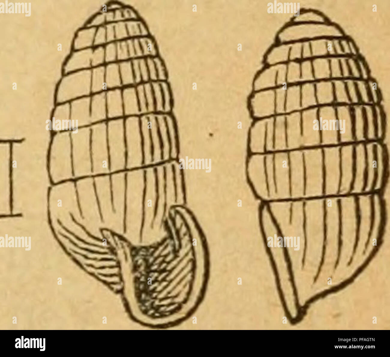 Nr 42 16 58 Fotos und Bildmaterial in hoher Auflösung Alamy