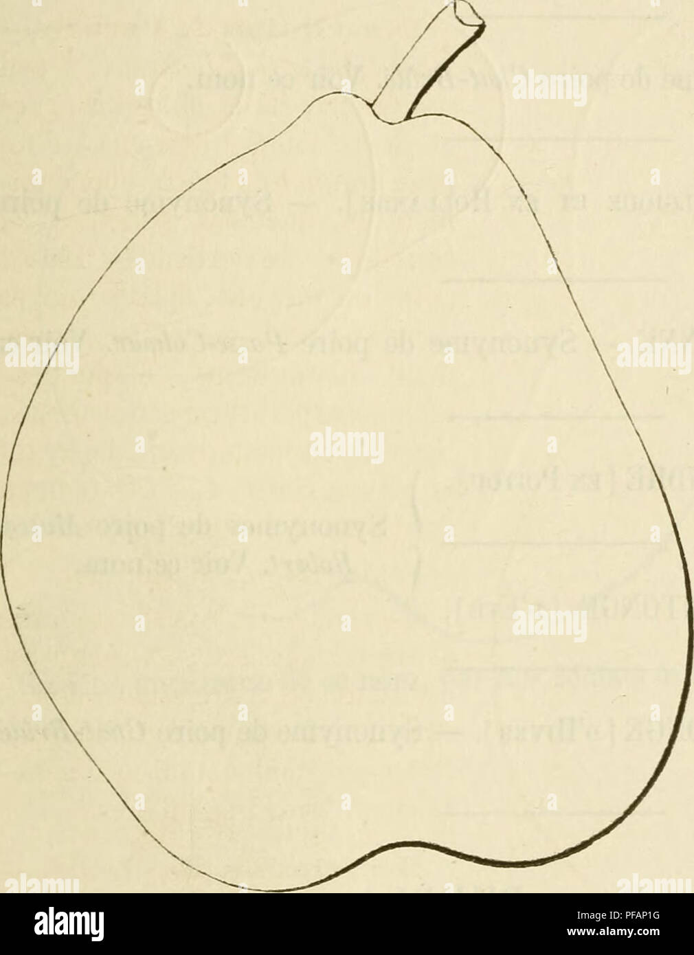 . Wörterbuch de pomologie, Contenant l'histoire, la Description, la Abbildung des Früchte Früchte anciens et des modernes les plus g © n©ralement connus et cultivÂ © s. Obst - Kultur. PRO 567 Historique. "M. Alphonse du Breuil, professeur d'Baumzucht au Conser- vatoire des Arts et MÃ©Tiers, à Paris, et dont Le Cours imprimÃ©compte Dekor Jörg cinq À © Gungen, est l'obtenteur de cette variÃ©tÃ©. Il la semait à Rouen, en 1840, dans le Jardin Botanique, Sohn nicht pÃ¨re Ã©Tait conservateur. Le Pied-Typ se mit Ã Obst en 1851; ce fut Le Cercle d'Gartenbau de cette ville qui Lui donna Le nom sous lequ Stockfoto