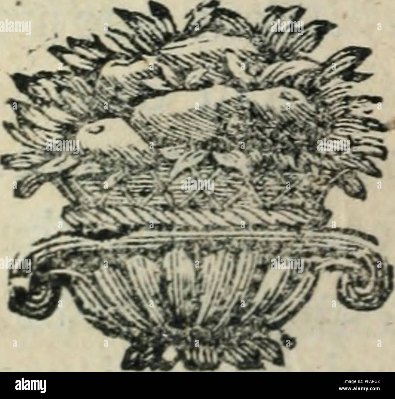 . Wörterbuch pour la thÃ©orie et la pratique du jardinage, et de l'agriculture, par Principes, et Dekor montrÃ©es d'Après-ski la Körperbau des Vöv © getaux. Im Garten arbeiten. 33^M nitÃ© de plantes oÃ¹ le fcmblabte fe rci contre, c'EFT-À-dire, ce-Doppel mouv 4 ment de contraftion des mufcles&amp;: dl leur relÃ¢ chement. Elles leur penchent feuilles Ã c leurs Fanes lors de la Grandi ardeur du foleil, Ã'c au ferein, &Amp;: À 1; rofÃ © e Elles les relÃ¨Vent. Les Fleurs durani le Jour s'e 'panouiiTent communÃ ©,&amp; fe Gären la nuit 5 du * Tel efl k plus Grand nombre, leurs branchages plient au grÃ Stockfoto