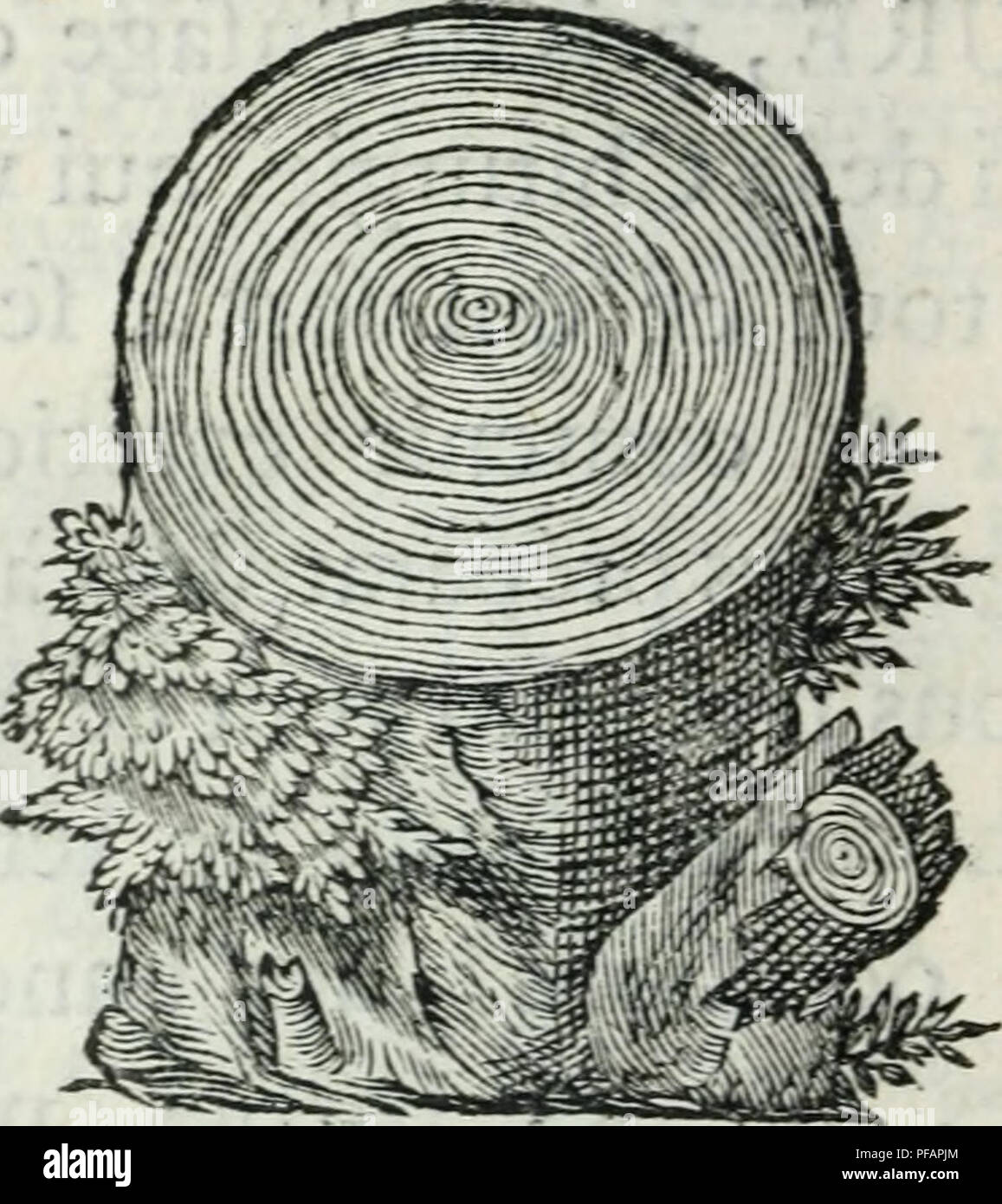 . Wörterbuch pour la thÃ©orie et la pratique du jardinage, et de l'agriculture, par Principes, et Dekor montrÃ©es d'Après-ski la Körperbau des Vöv © getaux. Im Garten arbeiten. -9^E. fente Abbildung. En coupant tranfverfalemerrt. un arbre, ou une groffe Branche&gt; les apperÃ § oit trÃ¨s-diftindlem-ent, &Amp; par Leur moyen auf fait au jufte l'Ã¢ge d'un aibre. Ces cercles ligneux font inÃ©gaux Entr'eux, d'a-bord fÃ©lon Les expofitions: Du côté tÃ© du Midi ils Font bien plus amples&amp;: plus nourris Que Du côté tÃ© du Nord, enfuite auf les Voit plus, mehr oder weniger dilatÃ © s fuivant Le Temps de chaque annÃ©es plus, o Stockfoto