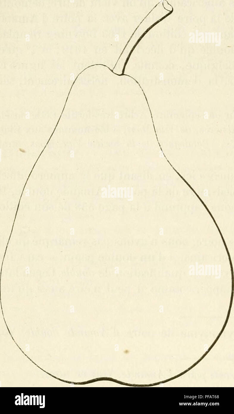. Wörterbuch de pomologie, Contenant l'histoire, la Description, la Abbildung des Früchte Früchte anciens et des modernes les plus g © n©ralement connus et cultivÂ © s. Obst - Kultur. 110 AMAâ AMB Historique. Â Obtenue au Concours de 1837 par M. Boisbunel fils, pÃ©piniÃ © - riste à Rouen, d'un-semis remontant à 1846, Sohn obtenteur mÃªme l'a Dekor Kriterien dans,. ,,, Le Bulletin du Cercle d'nratiaue horti-Poire Amandine (de Rouen). ,,,. ,, O-r-i-Kultur et de b') ianique de la Seine-Infe - rieure (annÃ©e 1838, Seite 133); et Nous y lisons Â" qu'Après-ski-l'avoir nommÃ©e "Amandine (de Rouen), il la prÃ©s Stockfoto