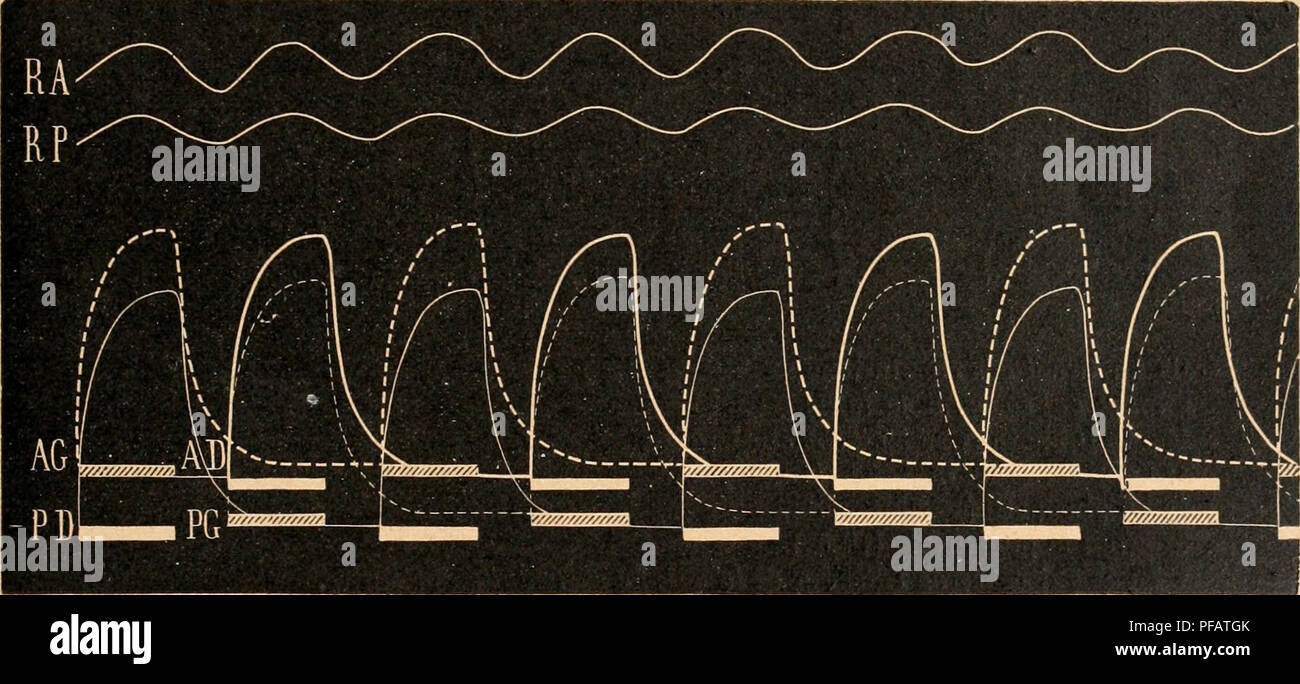 Fait Main Stockfotos Und Bilder Kaufen Alamy