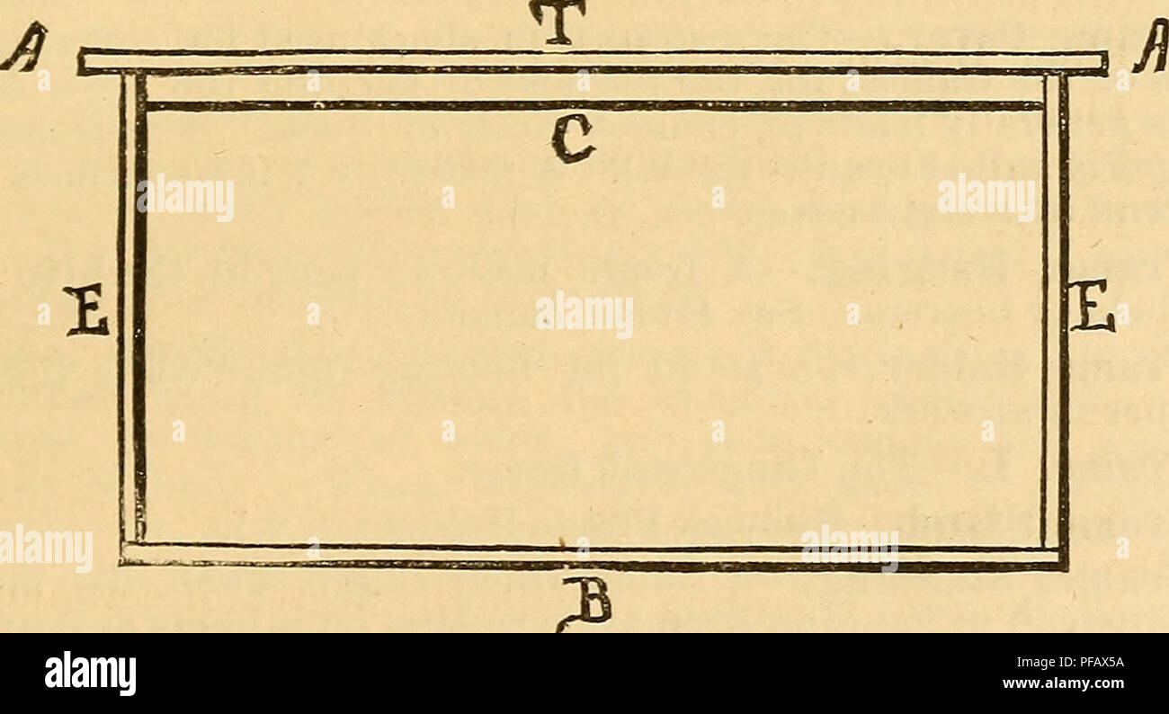 Dieses Wörterbuch enthält detaillierte Beschreibungen von Imkereiwerkzeugen, einschließlich verschiedener Teile des Rahmens, wie z. B. obere Leisten, Endleisten, untere Leisten und Kammführungen. Ziel ist es, praktische Kenntnisse und Techniken für Imker im Bienenzuchtbereich zu fördern. Stockfoto