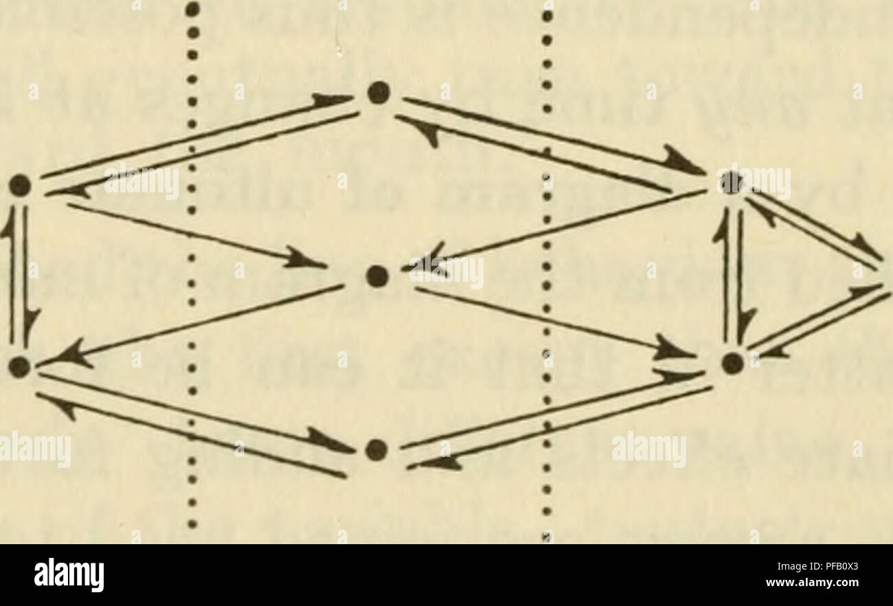 . Design für ein Gehirn; der Ursprung des adaptiven Verhaltens. Taschenrechner; Zentrales Nervensystem - Mathematische Modelle; Verhalten; Gehirn -- Physiologie. I=^3 Abbildung 12/9/1. Das Diagramm der ultimative Auswirkungen zeigt auf einmal die Abhängigkeiten in den Fall, wenn wir Zeit für die Effekte zu arbeiten rund um das System. Damit von II der Abbildung sehen wir, dass die Variable 1 dauerhaft unabhängig ist von 2, 3 und 4, und dass Letztere drei sind alle letztendlich voneinander abhängig. Die Auswirkungen der Kp 12/10. Nehmen acht Variablen verbunden wurden, nach der Methode von S. 6/6, das Schema der unmittelbaren ef zu geben Stockfoto