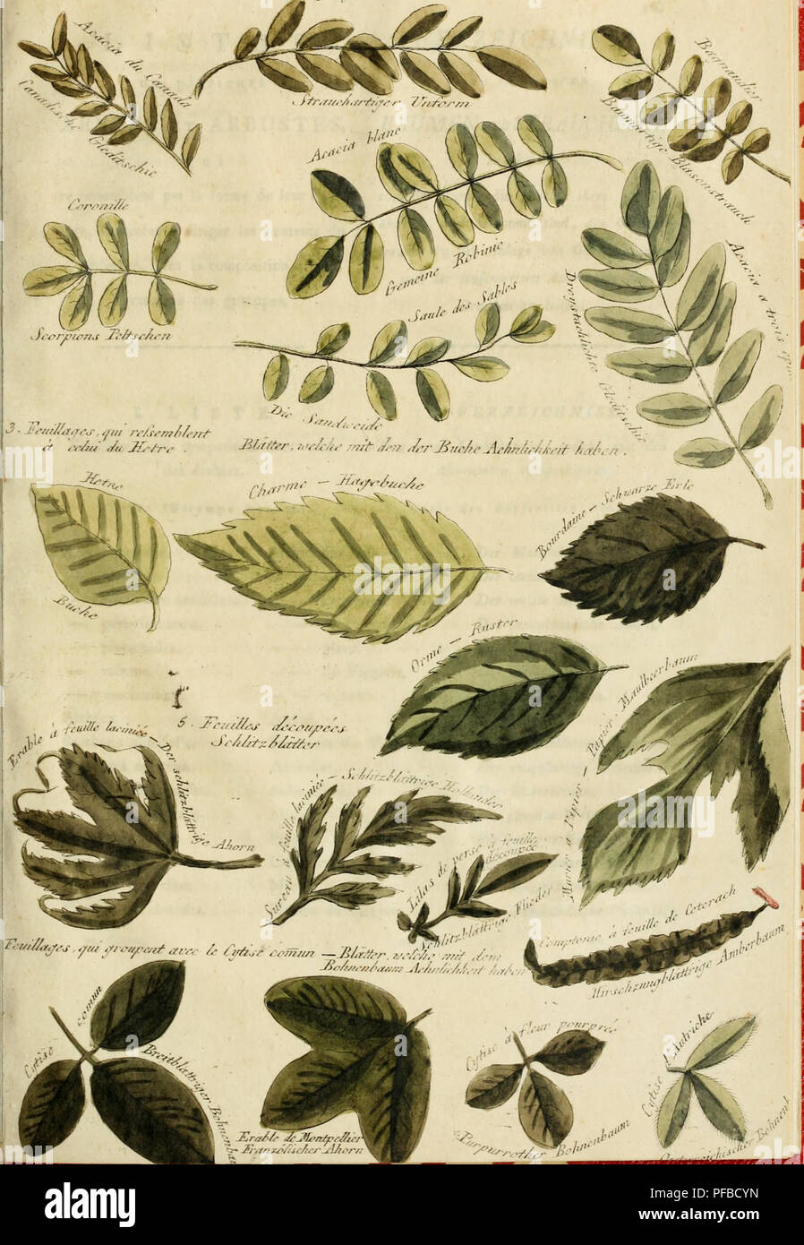 . Beschreibung des principaux parcs et jardins de l'Europe: avec Les remarques sur le jardinage et les Plantagen: enrichi ouvrage d'estampes = Bildliche und beschreibende Darstellung der vorzÃ¼glichsten Natur und KunstgÃ¤rten in Europa: mit Bemerkungen Ã¼ber Gartenkunst und Anpflanzungen: aus dem FranzÃ¶sischen. Gärten und Parks. "Ich. Fi 'U'-y/t/iyie. ,/It.' //,'' Ich - "/i-n.ti -/- r/',,'. Bitte beachten Sie, dass diese Bilder aus gescannten Seite Bilder, die digital für die Lesbarkeit verbessert haben mögen - Färbung und Aussehen dieser Abbildungen können nicht perfekt t ähneln extrahiert werden Stockfoto