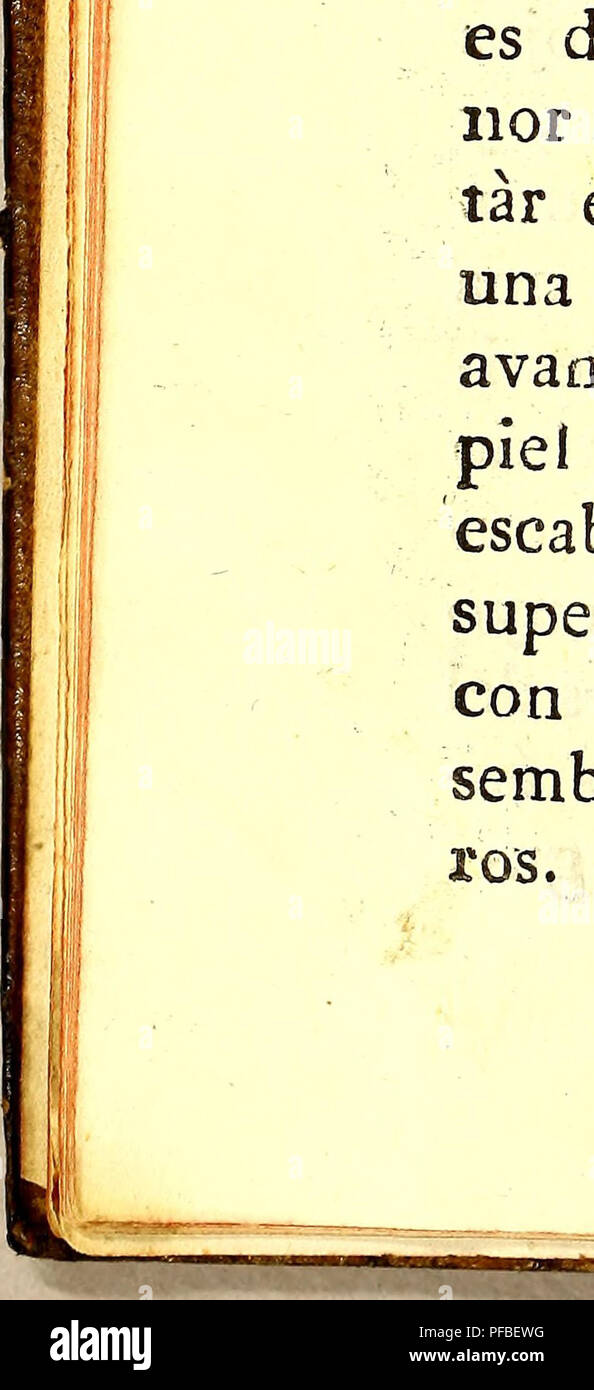 . Descripcion de diferentes Piezas de Historia Natural las Mas del ramo Maritimo: representadas De setenta y cinco Lamellen.. Marine Tiere; Natural History. Áft. gulos posteriores Forman una tumorosidad que viene de la Cabeza de Bürgermeister á Menor, ésta es de Hueso, Pero cubierta de la mis-ma Piel de La cara Superior. En los ángulos posteriores Tienen dos brazitos del Largo de una pulgada, y dei grueso de pulgada, y Media $ en el extremo de éstos Salen unas aletas en forma De Manos, estas es-táu orizontales compuestas de 10 ó 12 Fila - mentos bastantemente duros Unidos pro me-dio de una mich Stockfoto