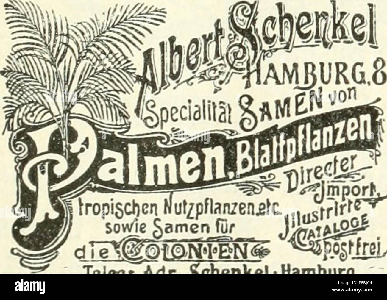 . Der Tropenpflanzer; Zeitschrift fr tropische Landwirtschaft. Tropische Pflanzen, Tropische Nutzpflanzen. Altona Rainweg. F. H. Schmidt Hamburg: techmax. 21. Es empfiehlt sich ein Samen J] Jw!* i^Telega/dr. gdien Hel-Hamburg. C. Boysen, Hamburg I, Heu & Amp; erg 9. Buchhandlung fiirdeutsche und ausländische Literatur. In meinem Verlage e r s c i e n Li: Die Kultur des Kakaobaumes und seine Schädlinge von Ludwig Kindt. Mit zatilreichen Abbildungen. Preis geheftei Mk. 4,50, gebunden fHk. 5,50. Auf Grund einer 22 jährigen Erfahrung als Pflanzer in Zentral-Amerika, Ecuador, Trinidad, Venezuela und Ost-Indien is also der Verfa Stockfoto