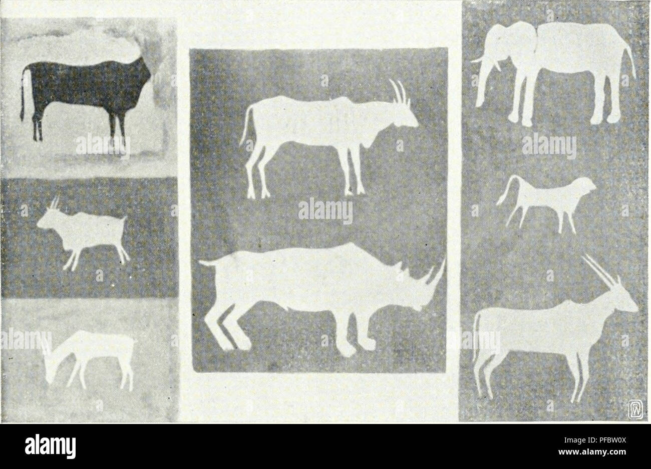 Diese Arbeit erforscht die Kultur- und Naturlandschaft der Region und konzentriert sich auf das Verhältnis zwischen menschlichem Handeln und der Widerstandsfähigkeit der Natur, insbesondere in modernen landwirtschaftlichen Praktiken. Stockfoto