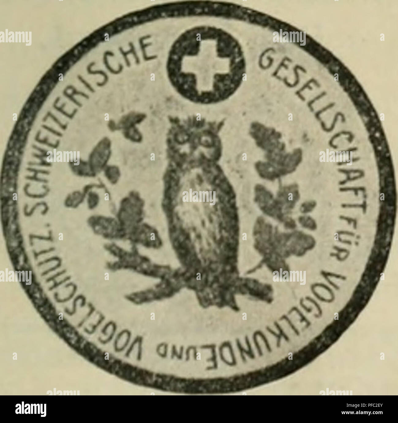 . Der ornithologische Beobachter. Vögel, Vögel. 15. avril au 20 mai 1910 1247 Stück de gibier âde Passage" alouettes de Mer, pieds Rouges, courbageots, redondes usw. Vom BÃ¼chertisch. L. ebensbilÂ" ler aus der Tierwelt. Herausgegeben von H. und K. Meerwarth Soffel. R. VoigtlÃ¤nahtoderfahrenen Verlag, Leipzig. Lfg. 2/3 und 18/19 SÃ¤ugetiere VÃ¶gel. Je 75 Pfg. Von dem hier schon in den ersten Lieferungen angezeigten Werke sind vier weitere Hefte erschienen, sterben in allen Teilen halten, war der Anfang versprach. Die neuartige Abbildung mit photographischen Aufnahmen freilebender Tiere neue Triumphe feiert. Stockfoto